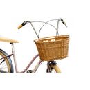 Cos bicicleta s,  Accesorii ciclism | electropc.ro