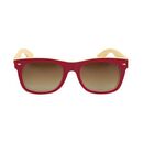 Ochelari soare melon elwood rosu,  Accesorii ciclism | electropc.ro