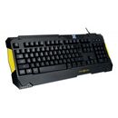 Tastatura gaming x by serioux, edana, taste iluminate 4 culori, anti- ghosting pana la 20 de taste, functii multimedia, durata de viata taste ~10mil apasari, functie blocare tasta windows, cablu textil,  Tastaturi | electropc.ro