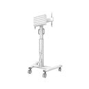 Stand podea mobil/fix neomounts fl50s-825wh1; pentru display-uri cu diagonale 37"-75", sistem de prindere vesa 100x100~600x400, greutate maxima suportata 70kg, fix, inaltime reglabila manual 1040-1570mm (4 presetari); management cabluri, manere practice, ,  Suporturi TV & Monitor | electropc.ro