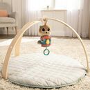 Lamaze-arty zambeste,  Jucarii interactive bebelusi | electropc.ro