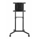 Stand tv mobil serioux tv11-46tw, dimensiuni: 920x702x1595mm, compatibilitate  dimensiune ecran: 37"-70", compatibil vesa: 200x200, 400x200, 300x300, 600x200, 350x350, 400x400, 600x400, greutate maximă suportata tv: 70 kg, interval de înclinare: 0° sau 5°,  Suporturi TV & Monitor | electropc.ro