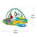 Salteluta cu activitati, prieteni la zoo,  Jucarii interactive bebelusi | electropc.ro