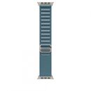 49mm light blue alpine loop - small - natural titanium finish,  Bratari fitness | electropc.ro
