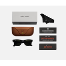 Rayban meta wayfarer shiny black/green,  Gadgeturi | electropc.ro