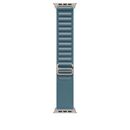 49mm light blue alpine loop - large - natural titanium finish,  Bratari fitness | electropc.ro