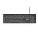 Tastatura natec cu fir herring slim, membrana, iluminare alb taste, lungime cablu 150cm, 105 taste, layout ansi-iso, negru,  Tastaturi | electropc.ro