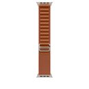 49mm terra cotta alpine loop - small - natural titanium finish,  Bratari fitness | electropc.ro