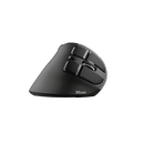 Mouse trust voxx, rechargeable ergonomic wireless, negru,  Mouse | electropc.ro