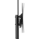Stand tv mobil de podea neomounts by newstar, 37-70", vesa 100x100~ 600x400, max load 50kg, tilt +5°, -12°,  TV & Electronice & Gaming | electropc.ro