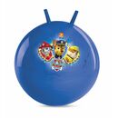Minge de sarit pentru copii-paw patrol,  Summer | electropc.ro