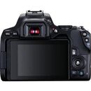 Camera foto canon dslr eos 250d + 18-55 is stm kit, black, 24.1mp, dual pixel cmos, lcd 3" rabatabil, digic 8, iso auto (100-25600), filmare 4k 25 fps, full hd 50fps,compatibil sd, sdhc, sdxc (uhs speed class 1 compatible) interfata: hdmi mini,wi-fi, blue,  Aparate foto DSLR | electropc.ro