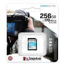 Card de memorie sd kingston canvas go plus, 256gb, class 10,  Carduri memorie | electropc.ro