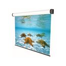Ecran de proiectie electric, cu prindere in tavan/perete sopar professional, format 4:3, suprafata de proiectie 350x265 cm, diagonala 173 inch, unghi de vizionare 150°, tip panza alba (fata) neagra (spate), din aluminiu,  Videoproiectoare | electropc.ro