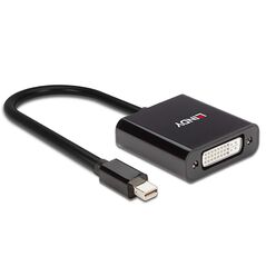 Lindy mini displayport to dvi active converter, 5.4gbps,  Cabluri video | electropc.ro
