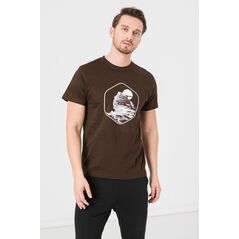 Tricou casual sfinx barbati coffee-xxl,  Tricouri | electropc.ro