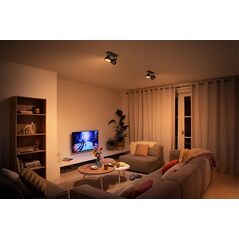 Spot led dublu philips bukko, 24v, 2x4.3w, 800 lm, intensitate variabila, lumina calda (2200-2700k), ip20, 17x36.6x11cm, metal, negru,  Lampi de interior | electropc.ro
