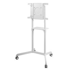 Stand tv mobil serioux tv11-46tw, dimensiuni: 920x702x1595mm, compatibilitate  dimensiune ecran: 37"-70", compatibil vesa: 200x200, 400x200, 300x300, 600x200, 350x350, 400x400, 600x400, greutate maximă suportata tv: 70 kg, interval de înclinare: 0° sau 5°,  Suporturi TV & Monitor | electropc.ro