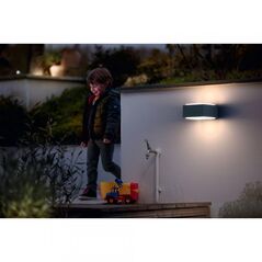 Aplica pentru exterior philips hedgehog, 1xe27, max 42w, ip44, 182x160x91mm, antracit,  Aplice de exterior | electropc.ro