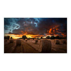 Monitor videowall samsung vm55b, 55", 500nit, 24/7, fhd, panel ips, 8ms, contrast static 1200:1, mătuire 25%. advanced color management, auto source switching & recovery, temperature sensor, rs232c, plug and play, video wall daisy chain (10x10, 15x15 osd),  Monitoare Videowall | electropc.ro
