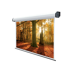 Ecran de proiectie sopar rubin white, electric, perete, 500cm x 375cm, format 4:3, alb,  Videoproiectoare | electropc.ro