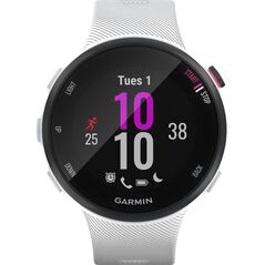 Ceas smartwatch garmin forerunner 45, small, white,  SmartWatch-uri | electropc.ro