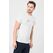 Tricou casual biciclete familie barbati light grey-m,  Tricouri | electropc.ro
