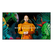 Ecran profesional lfd monitor signage samsung qm85c, 85", uhd, 24/7, 500nit, edge led, 8ms, contrast static 4000:1, mătuire 44%, tizen 7.0, magicinfo s6, cpu a72*4, ram 2.5gb, stocare 8gb. temperature sensor, video wall daisy chain 15x15, fhd 4 pbp suppor,  Monitoare Signage | electropc.ro