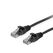 Equip 625452 cat.6 u/utp patch cable, 3.0m , black, 8.34x11.68x3000mm,  Cabluri retea | electropc.ro