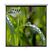Ecran proiectie manual,perete/tavan, 200 x 200 cm, blackmount, format 1:1,  Ecrane de proiectie | electropc.ro