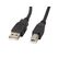 Cablu usb-a(m)  usb-b(m) 2.0 0,5 m negru cu ferită,  Cabluri video | electropc.ro