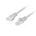Patch cord cat.6 utp lszh cu 0,25 m gri, fluke passed,  Alte accesorii retea | electropc.ro