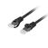 Patch cord cat.6 utp lszh cu 2 m negru, fluke passed,  Alte accesorii retea | electropc.ro