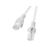 Patchcord lanberg cat.6 utp, lungime 0,5 m, conductor material copper plated (cca), awh 26, gri,  Alte accesorii retea | electropc.ro