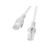 Patch cord cat.6 utp 5 m gri, fluke passed,  Alte accesorii retea | electropc.ro