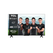 Televizor tcl led 43p635, 108 cm (43"), smart google tv, 4k,  Televizoare | electropc.ro