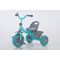 Tricicleta cu pedale verde/turcoaz, u-grow,  Triciclete | electropc.ro