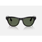 Ray-ban meta skyler ai glasses black/green g15,  Gadgeturi | electropc.ro