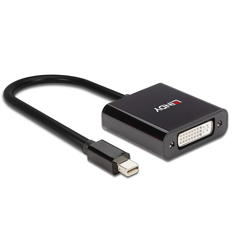 Lindy mini displayport to dvi active converter, 5.4gbps,  Cabluri video | electropc.ro