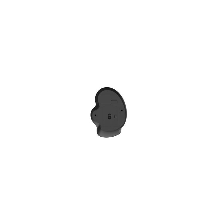 Mouse serioux glide 515 wireless,negru, senzor: optic, dpi: 800/ 1200/ 1600, conexiune: dongle usb 2,4 ghz, banda de frecventa: 2,4 ghz, click silentios, design ergonomic, alimentare: 1 baterie aa inclusa, 1,5 v, cerințe os: win, mac, vista,  Mouse | electropc.ro