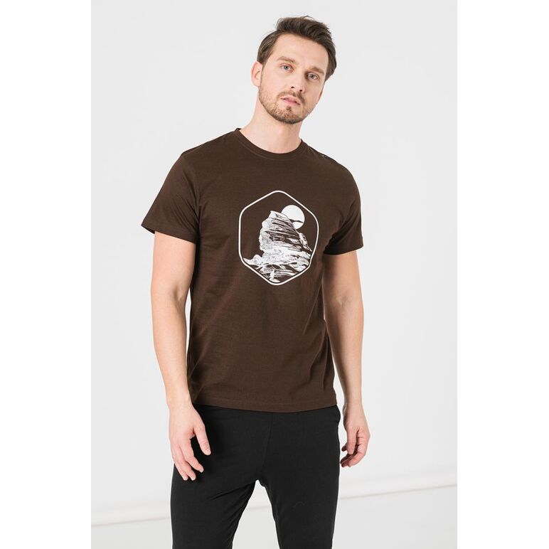 Tricou casual sfinx barbati coffee-xxl,  Tricouri | electropc.ro