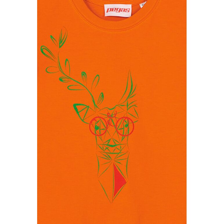 Tricou  cerb familie copii orange-10,  Tricouri | electropc.ro