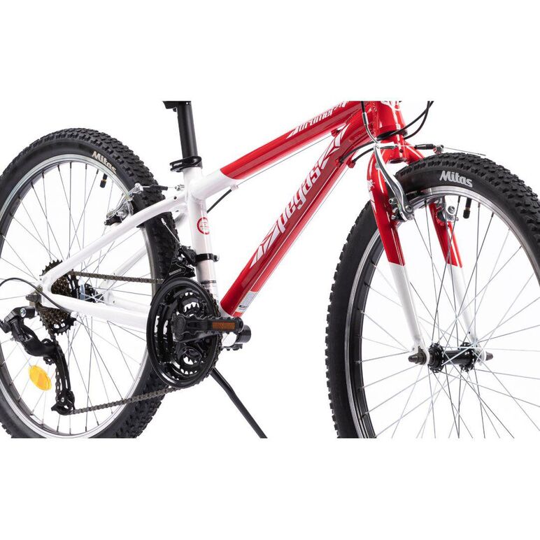 Bicicleta pegas mini drumet 24'' rosu alb,  Biciclete | electropc.ro