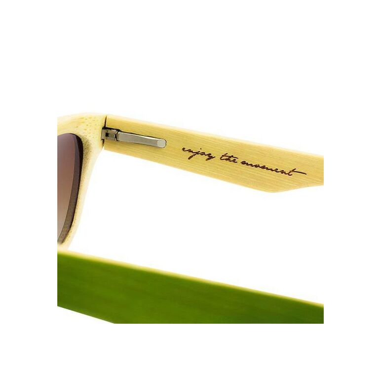Ochelari soare melon elwood verde,  Accesorii ciclism | electropc.ro