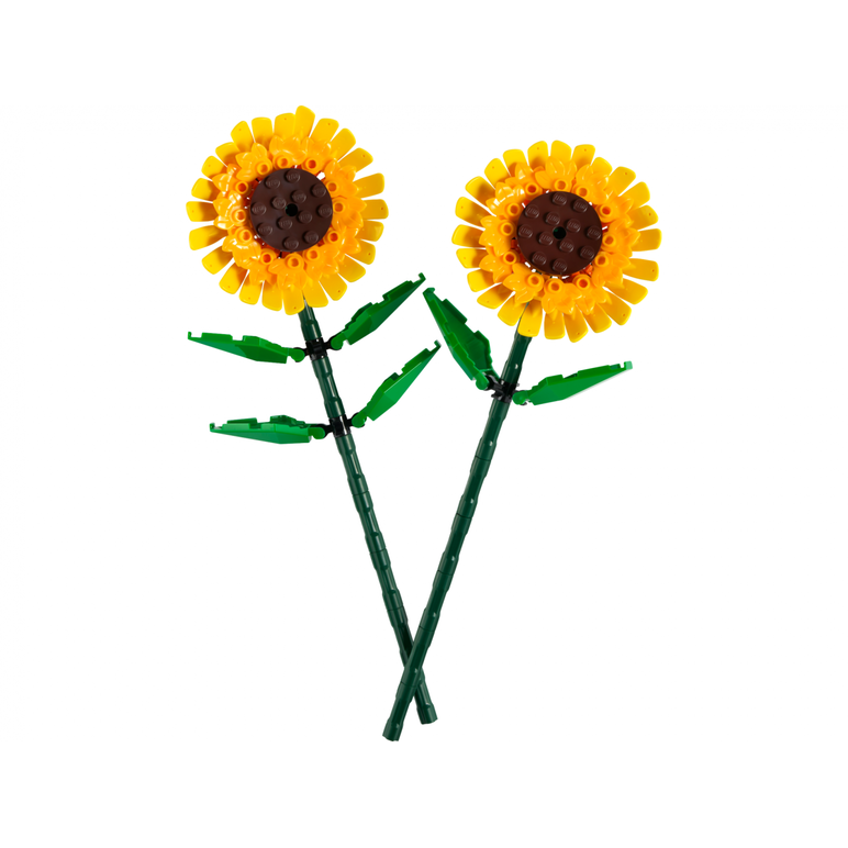 Florile soarelui, lego 40524,  Seturi de constructie | electropc.ro
