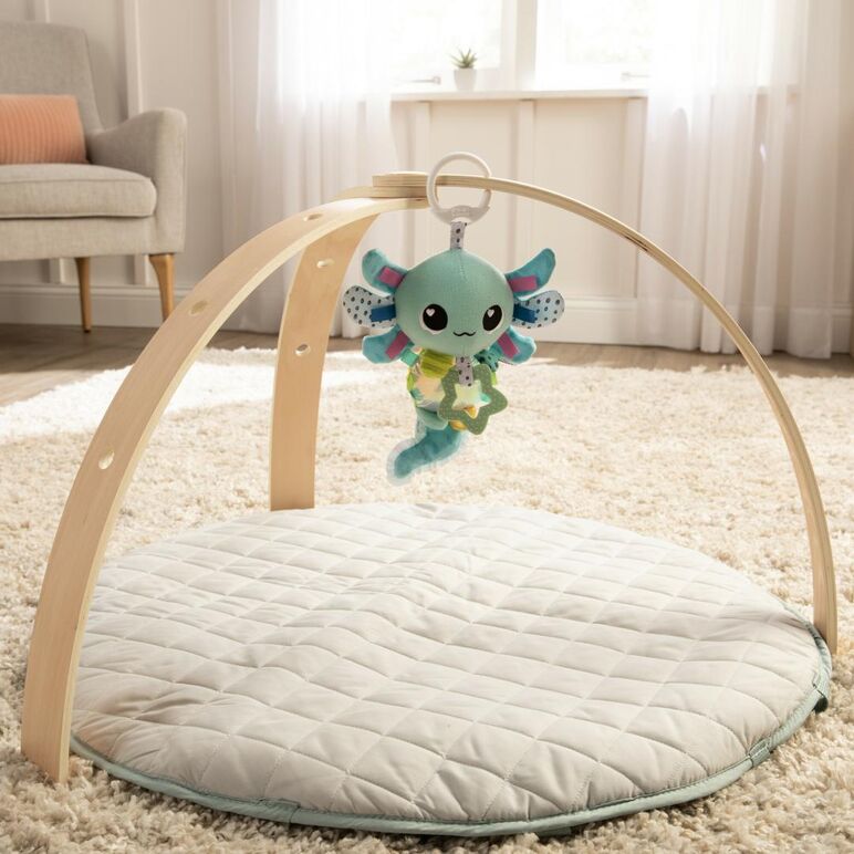Lamaze- salamandra alise clip&go,  Jucarii interactive bebelusi | electropc.ro