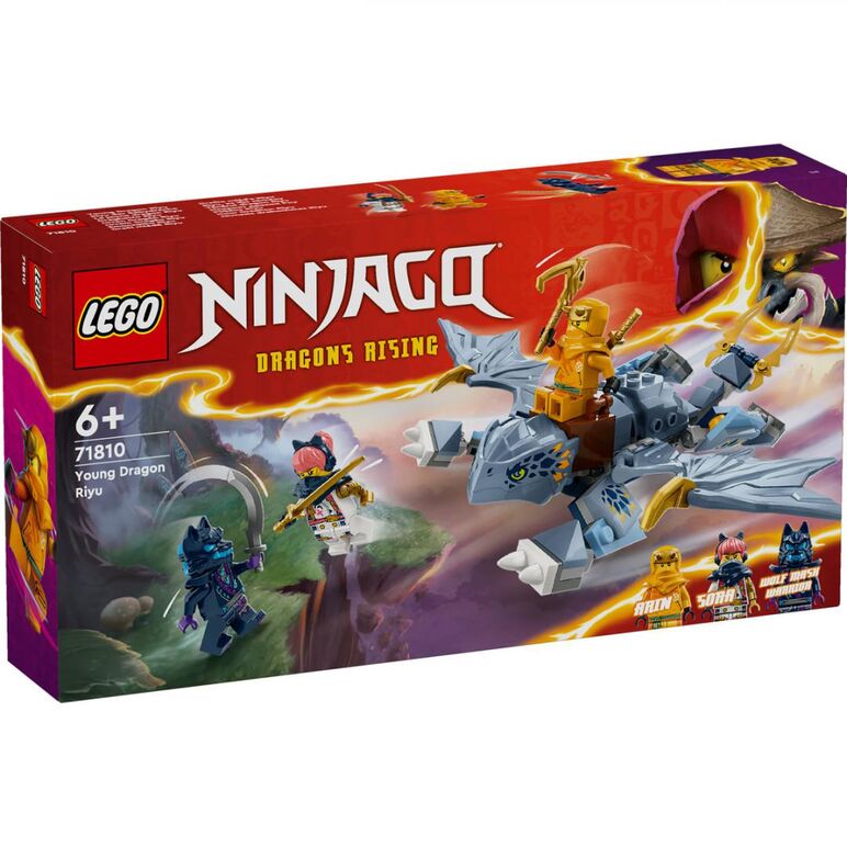 Tanarul dragon riyu, lego 71810,  Seturi de constructie | electropc.ro