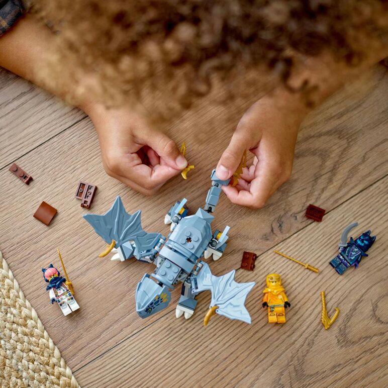Tanarul dragon riyu, lego 71810,  Seturi de constructie | electropc.ro