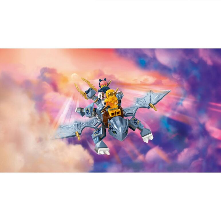 Tanarul dragon riyu, lego 71810,  Seturi de constructie | electropc.ro