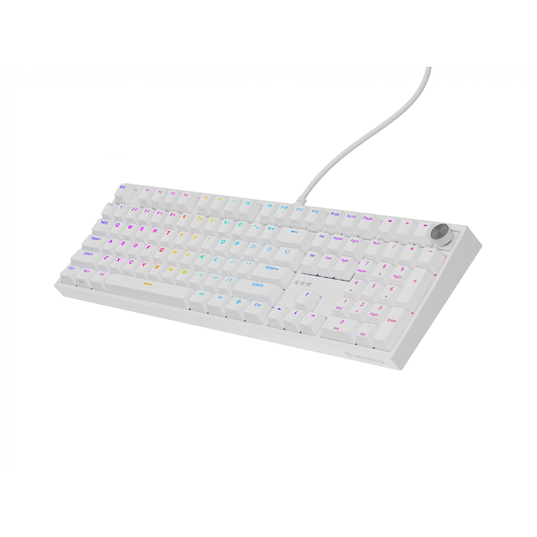Tastatura gaming mecanica cu fir genesis thor 404, iluminare rgb, 107 taste, 11 butoane multimedia, alb,  Tastaturi | electropc.ro